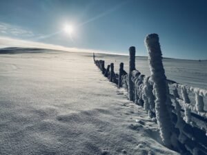 Läs mer om artikeln To Lofsdalen