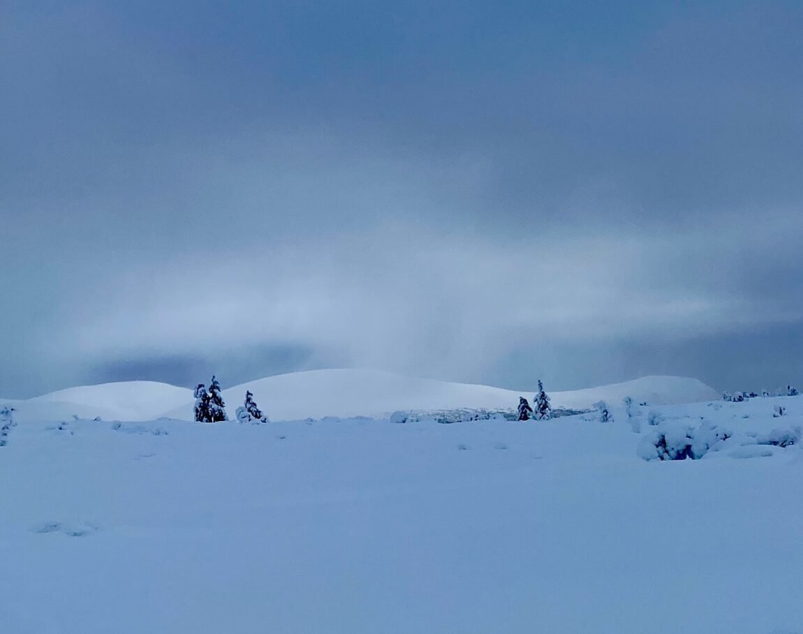 Before a snowmobile trip on Skärsjövålen