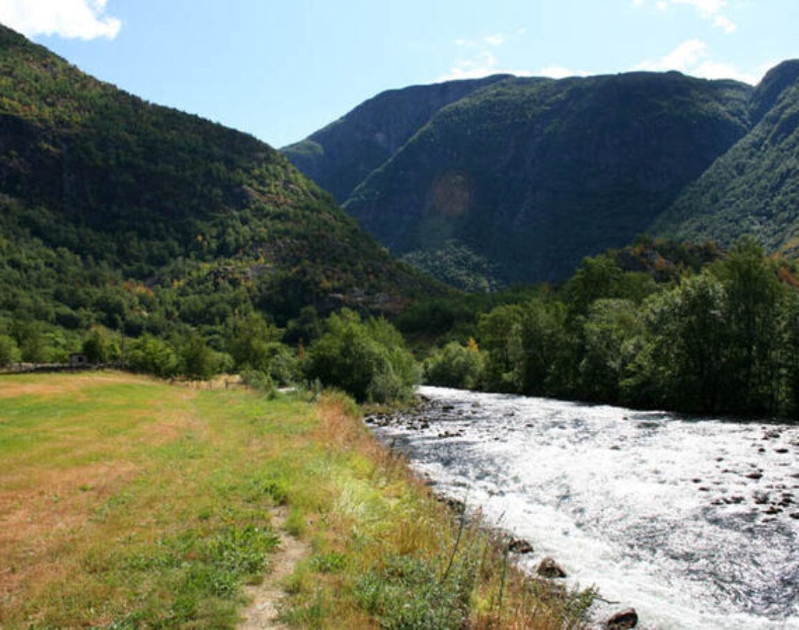 Timber trail in Måbødalen