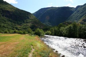 Läs mer om artikeln Timber trail in Måbødalen